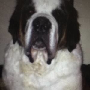 Meet your Posher, Joseph